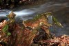 9465517041231423959.jpg - By: emkop