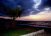 4515207231231771885.jpg - By: emkop