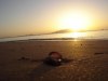 8717218441231529356.JPG - By: neeo