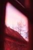 1838880701231530044.JPG - By: neeo