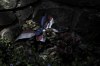 Flowers on the monument - By: Grix