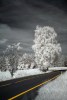 Hlinecko Cesta - By: Petr HK