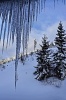 Kvaple a Vysoké Tatry - By: csarpi
