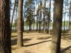 Branžež - By: baron01