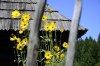 Slovensko - By: eMPress