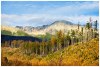 V.Tatry  8 rokov po kalamite - By: JaLe