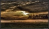 Na louce - By: ZakyJ