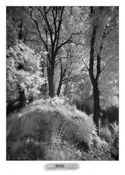 Nikon D70s upravený na IR fotografii + AF-S 16-85mm f/3,5-5,6 VR