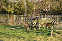 185mm; f/5; 1/640; ISO 400