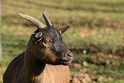 200mm; f/11; 1/100; ISO 200