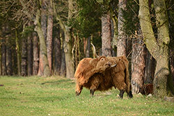 Nikon D600 + AF-S Nikkor 80-400mm f/4,5-5,6 G ED VR