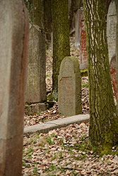 Nikon D600 + AF-S Nikkor 80-400mm f/4,5-5,6 G ED VR