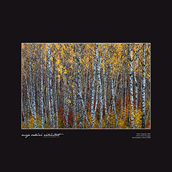 Marek Dunajský - II/II/I/I