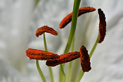 Ukázková fotografie č.2