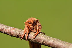 Ukázková fotografie č.3