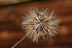 Ukázková fotografie č.4