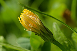 Ukázková fotografie č.5