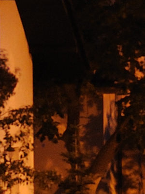 ISO 200
