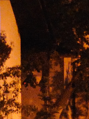 ISO 1600