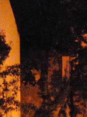 ISO 3200