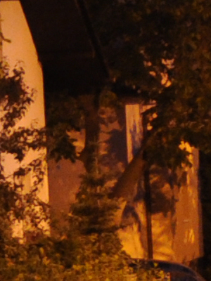 ISO 800