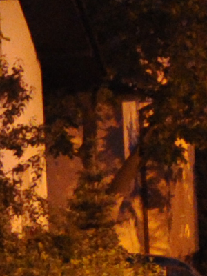 ISO 1600