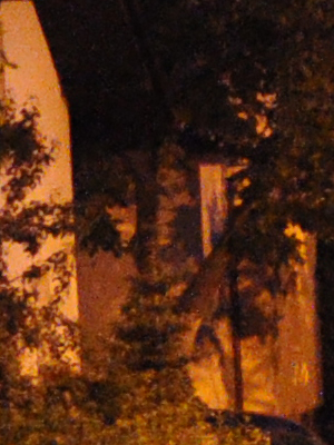 ISO 3200