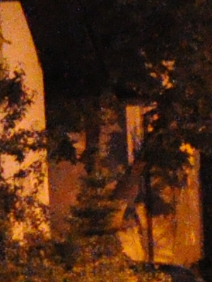 ISO 6400