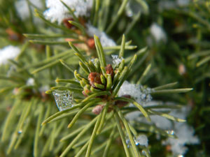 ISO 200, 1/628 s, f/4,3, 67 mm