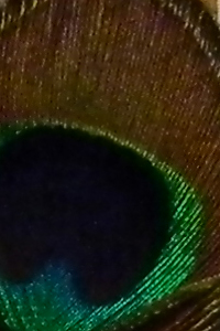 ISO 400