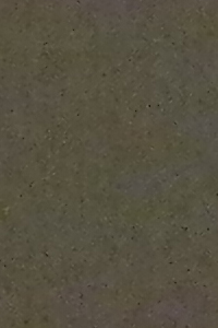 ISO 1600