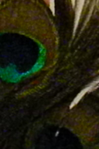 ISO 3200