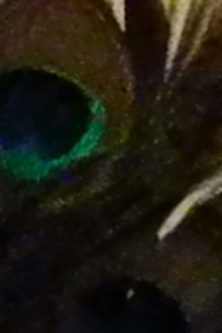 ISO 6400