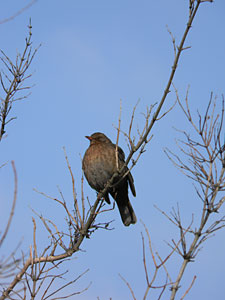 ISO 80, 1/443 s, f/5,4, 414 mm