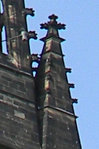 ISO 80