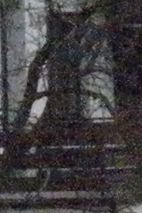 ISO 1600