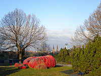 ISO 80